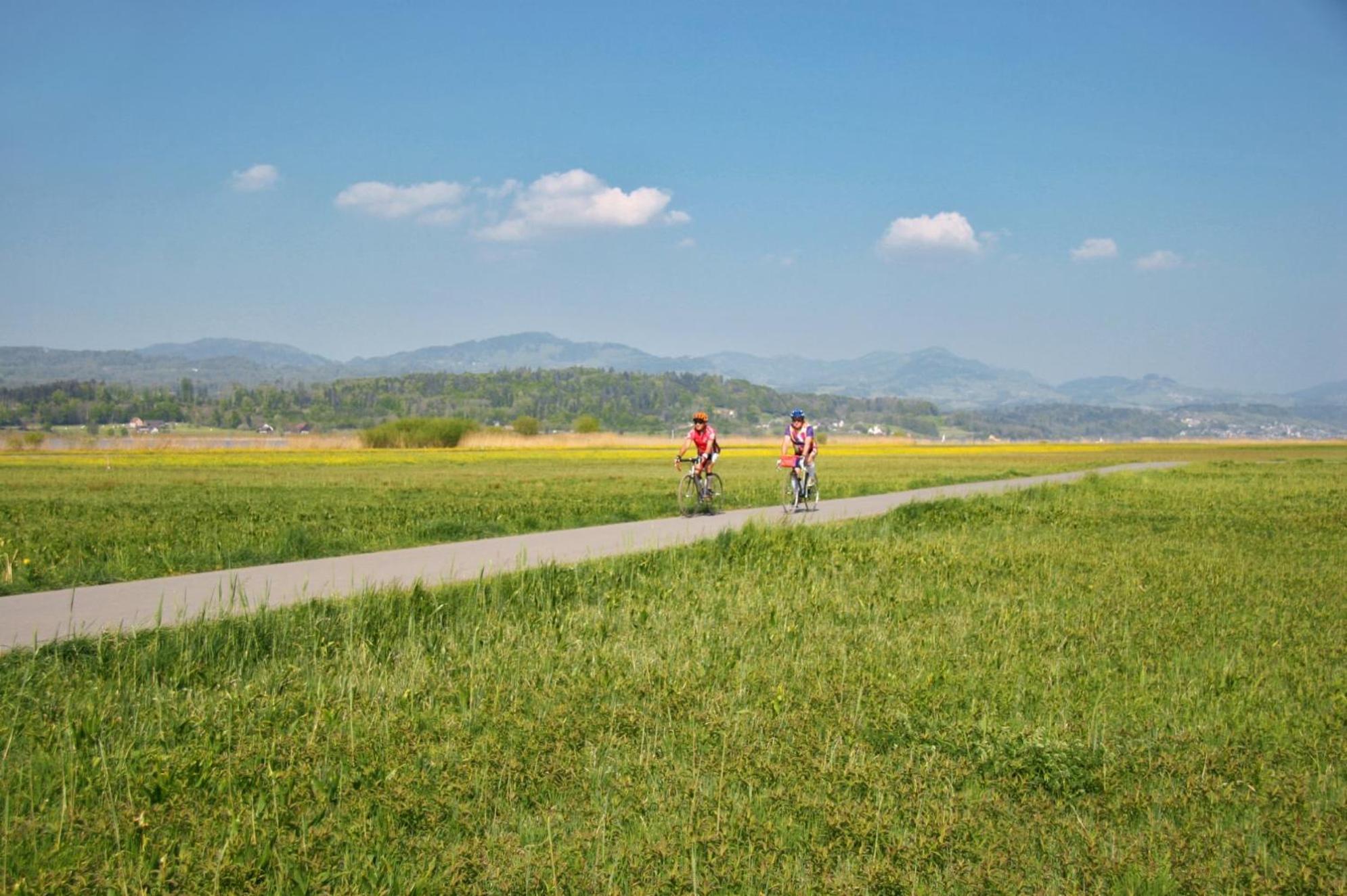 Landgasthof Zum Zimmermann Jona - Rapperswil Esterno foto